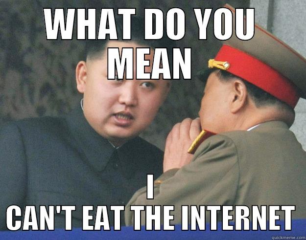 Can't eat the internet? - WHAT DO YOU MEAN I CAN'T EAT THE INTERNET Hungry Kim Jong Un