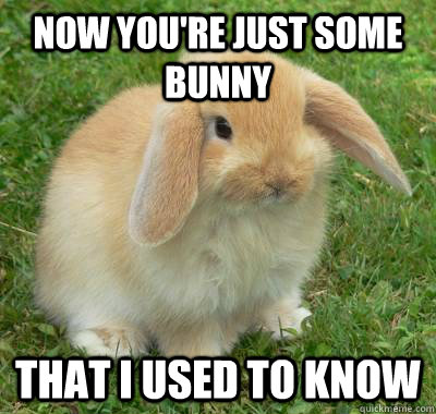 Now you're just some BUNNY that i used to know  