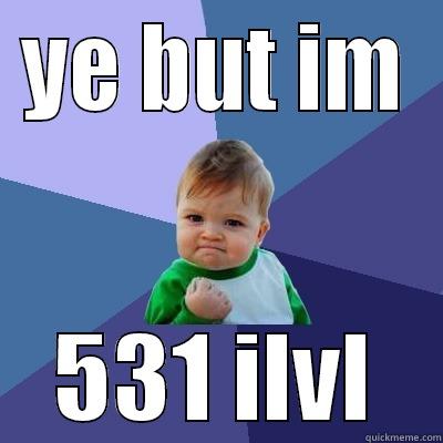 YE BUT IM 531 ILVL Success Kid