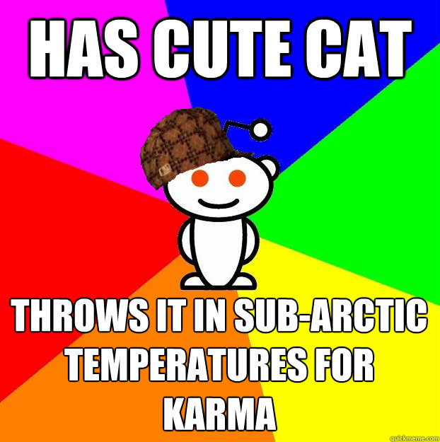 HAS CUTE CAT THROWS IT IN SUB-ARCTIC TEMPERATURES FOR KARMA  Scumbag Redditor
