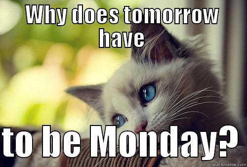 WHY DOES TOMORROW HAVE  TO BE MONDAY? First World Problems Cat