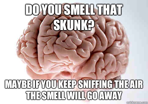 Do you smell that skunk? Maybe if you keep sniffing the air the smell will go away - Do you smell that skunk? Maybe if you keep sniffing the air the smell will go away  ScumbagBrain