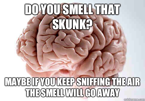 Do you smell that skunk? Maybe if you keep sniffing the air the smell will go away  ScumbagBrain