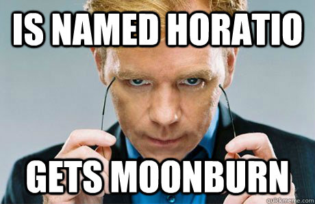 Is named Horatio Gets Moonburn  Horatio Caine