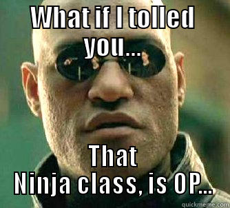 WHAT IF I TOLLED YOU... THAT NINJA CLASS, IS OP... Matrix Morpheus