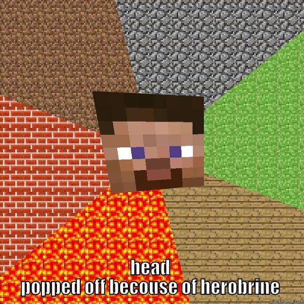 AAAAAAHHHHHH!!! i think my -  HEAD POPPED OFF BECOUSE OF HEROBRINE Minecraft