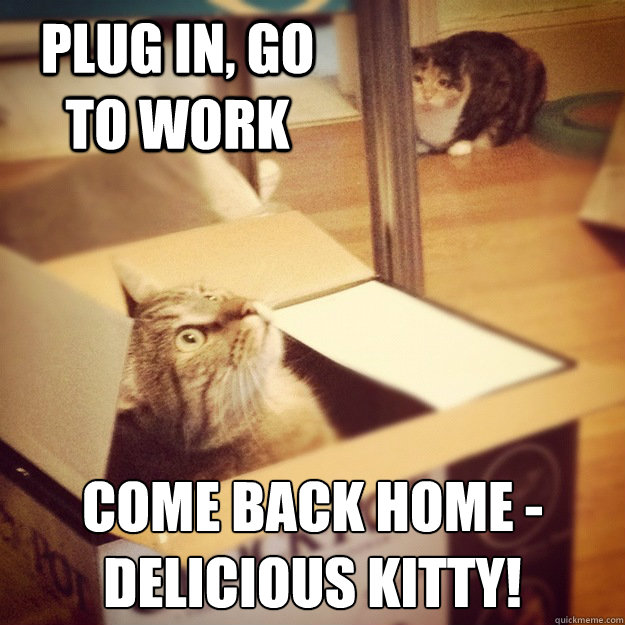 Plug in, go to work come back home - 
delicious kitty!  Cats wife
