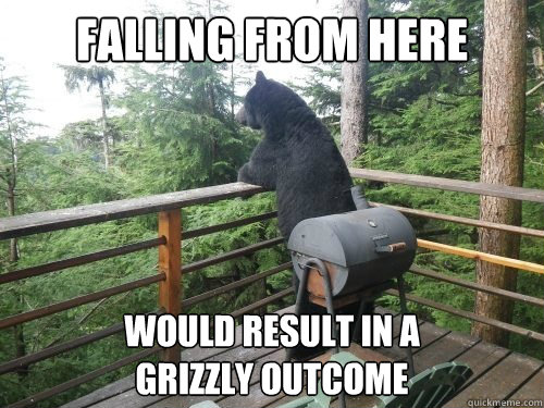 FALLING FROM HERE WOULD RESULT IN A 
GRIZZLY OUTCOME  
