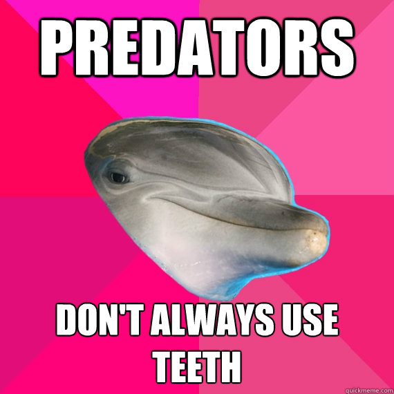 Predators Don't always use teeth  Predator Dolphin
