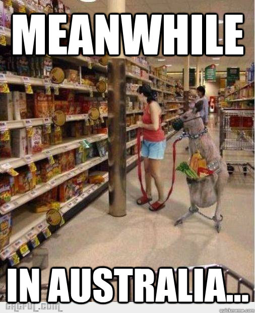 Meanwhile In Australia...  Meanwhile in Australia