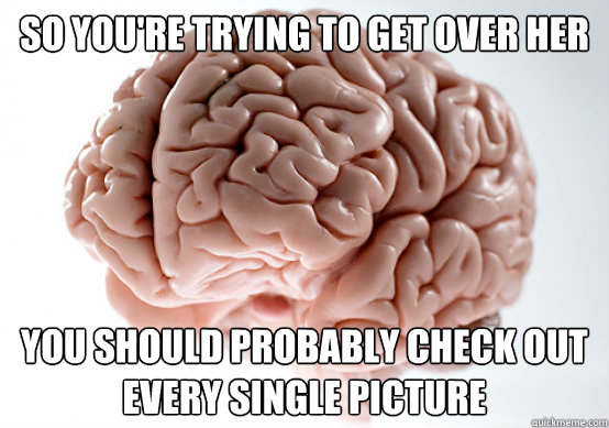 So you're trying to get over her You should probably check out every single picture  Scumbag brain on life