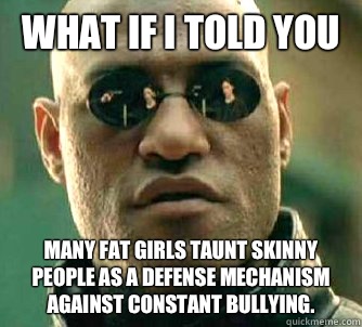 What if I told you many fat girls taunt skinny people as a defense mechanism against constant bullying.   What if I told you