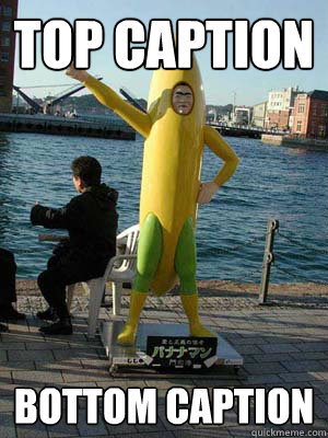 Top caption Bottom caption - Top caption Bottom caption  Misc