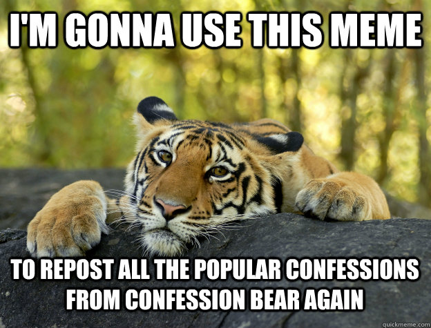 I'm gonna use this meme to repost all the popular confessions from confession bear again  Confession Tiger