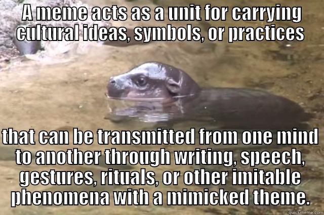  A MEME ACTS AS A UNIT FOR CARRYING CULTURAL IDEAS, SYMBOLS, OR PRACTICES   THAT CAN BE TRANSMITTED FROM ONE MIND TO ANOTHER THROUGH WRITING, SPEECH, GESTURES, RITUALS, OR OTHER IMITABLE PHENOMENA WITH A MIMICKED THEME. Misc