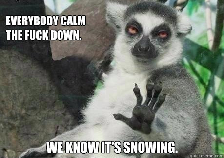 everybody calm 
the fuck down. we know it's snowing. - everybody calm 
the fuck down. we know it's snowing.  Too High Lemur