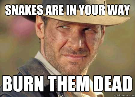 snakes are in your way burn them dead  Indiana Jones Life Lessons