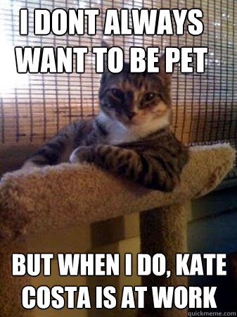 I dont always want to be pet but when I do, kate costa is at work   The Most Interesting Cat in the World