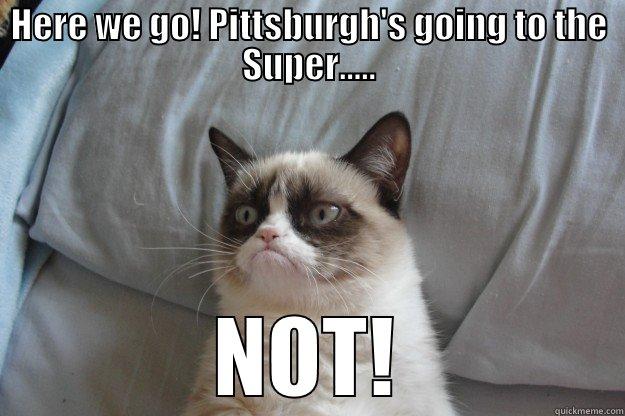 HERE WE GO! PITTSBURGH'S GOING TO THE SUPER..... NOT! Grumpy Cat