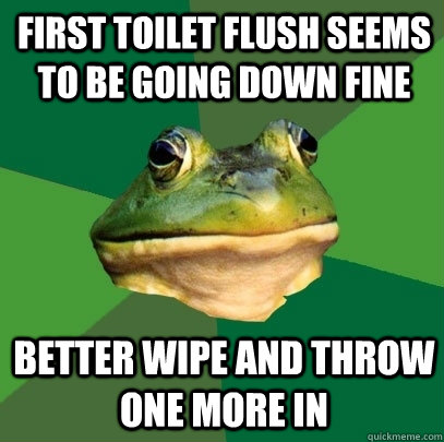 first toilet flush seems to be going down fine better wipe and throw one more in  Foul Bachelor Frog