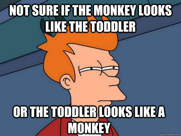 Not sure if the monkey looks like the toddler or the toddler looks like a monkey  Not sure Fry