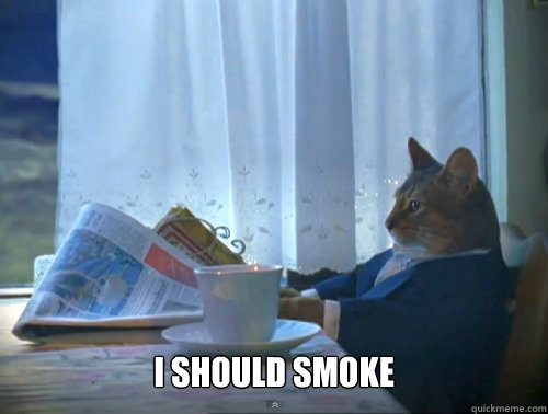  I should smoke -  I should smoke  The One Percent Cat