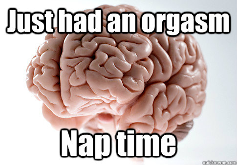 Just had an orgasm Nap time   Scumbag Brain