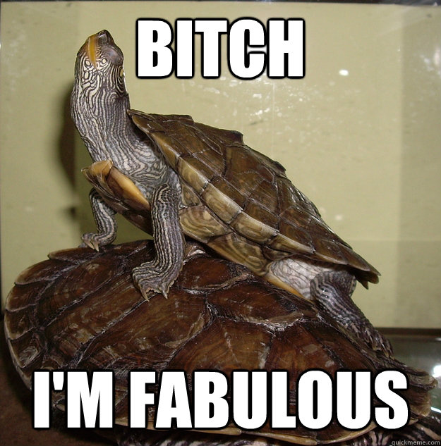 Bitch I'm fabulous  Turtles