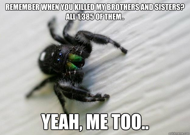 Remember when you killed my brothers and sisters? all 1,385 of them.. Yeah, me too.. - Remember when you killed my brothers and sisters? all 1,385 of them.. Yeah, me too..  Sad spider