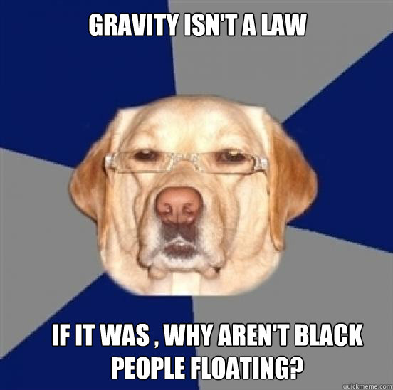 Gravity isn't a Law iF IT WAS , WHY AREN'T BLACK PEOPLE FLOATING?  Racist Dog