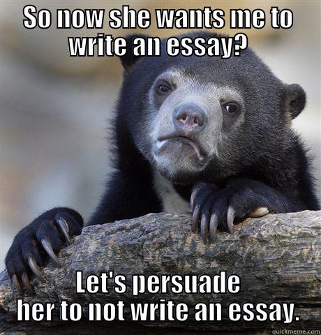 Persuade me. - SO NOW SHE WANTS ME TO WRITE AN ESSAY? LET'S PERSUADE HER TO NOT WRITE AN ESSAY. Confession Bear