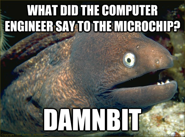 What did the computer engineer say to the microchip? Damnbit  Bad Joke Eel