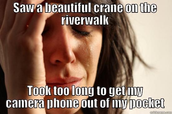 SAW A BEAUTIFUL CRANE ON THE RIVERWALK TOOK TOO LONG TO GET MY CAMERA PHONE OUT OF MY POCKET First World Problems
