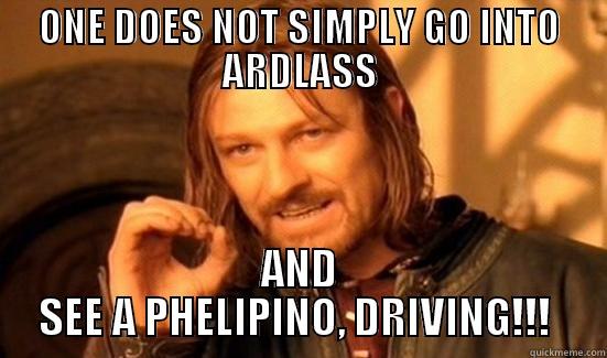 ONE DOES NOT SIMPLY GO INTO ARDLASS AND SEE A PHELIPINO, DRIVING!!!  Boromir