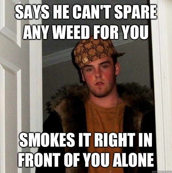 says he can't spare any weed for you smokes it right in front of you alone  Scumbag Steve