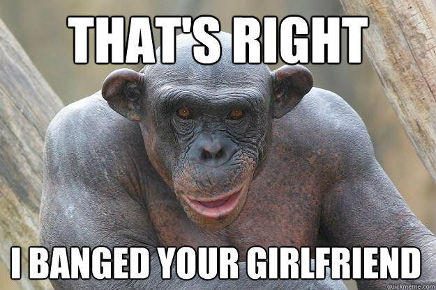 That's Right I banged your girlfriend  The Most Interesting Chimp In The World