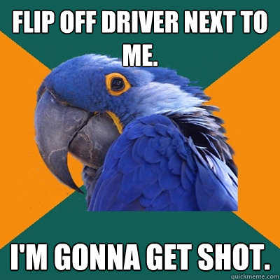 Flip off driver next to me. I'm gonna get shot.  Paranoid Parrot