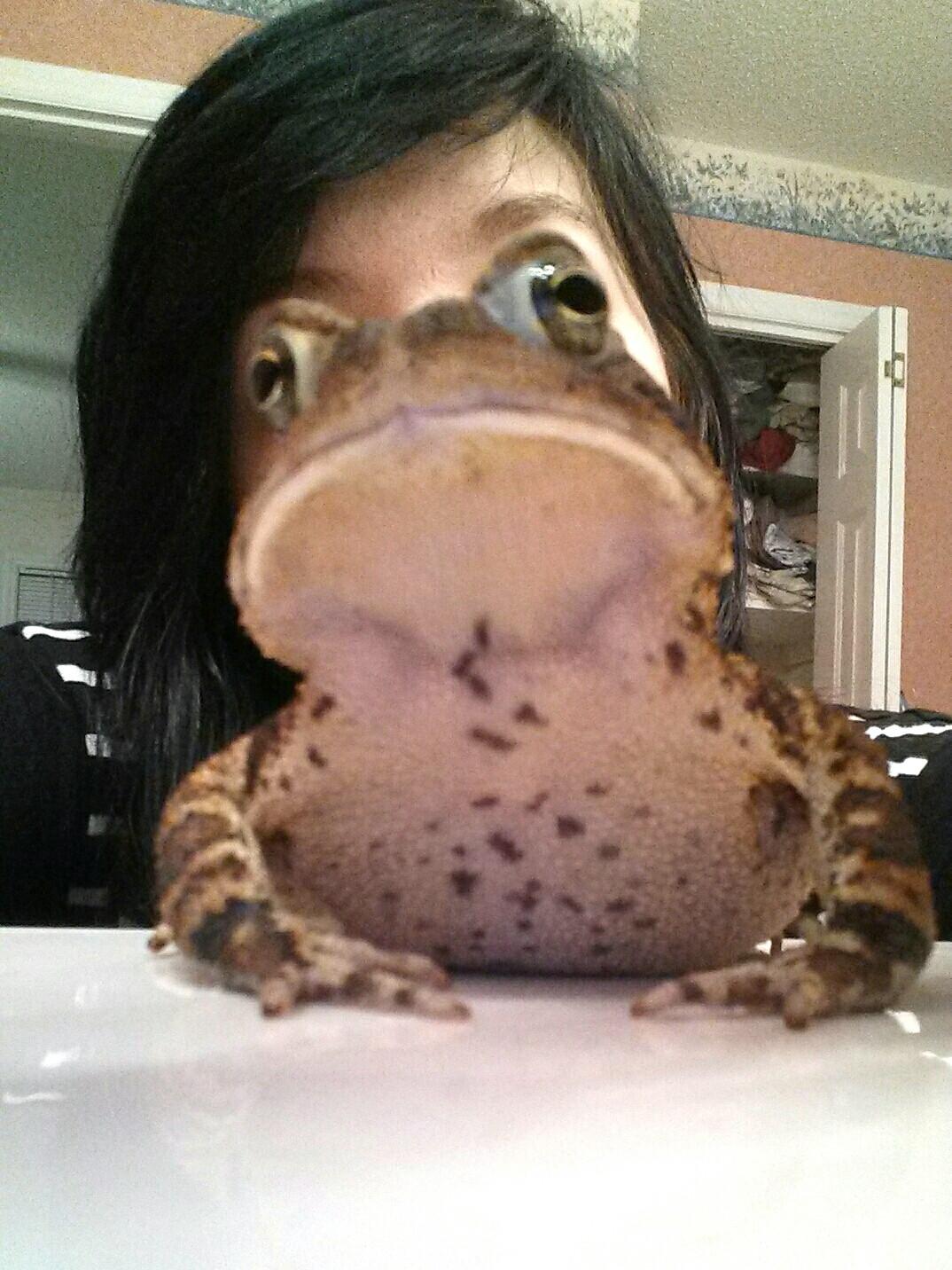 So I turned into a toad last night... -   Misc