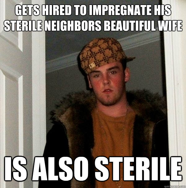 Gets hired to impregnate his sterile neighbors beautiful wife is also sterile  Scumbag Steve
