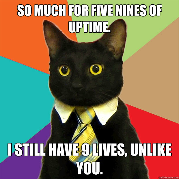 So much for Five nines of uptime. I still have 9 lives, unlike you. - So much for Five nines of uptime. I still have 9 lives, unlike you.  Business Cat