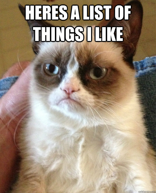 Heres a list of things i like   Grumpy Cat