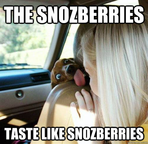 The snozberries taste like snozberries  Shroom dog