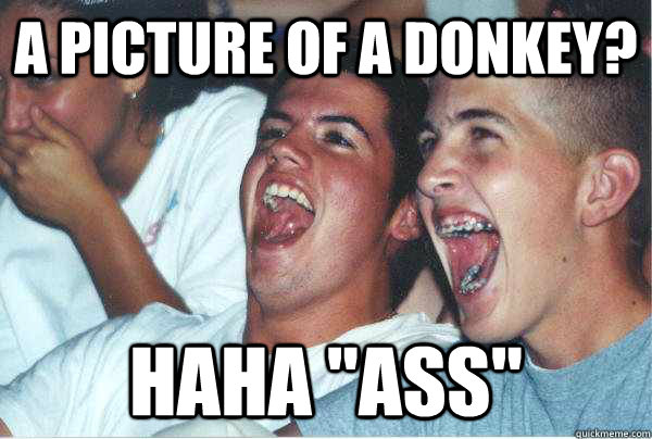 A picture of a donkey? Haha 