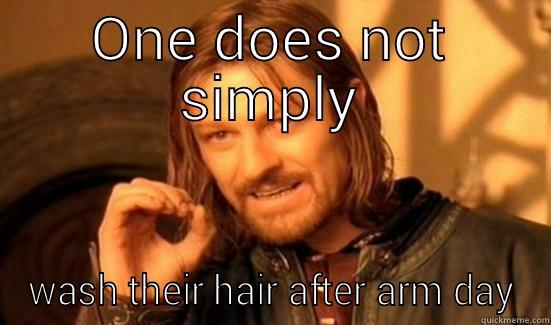 ONE DOES NOT SIMPLY WASH THEIR HAIR AFTER ARM DAY Boromir