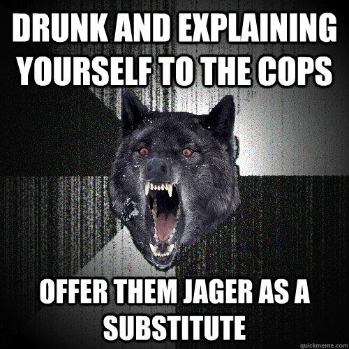Drunk and explaining yourself to the cops Offer them Jager as a substitute  Insanity Wolf