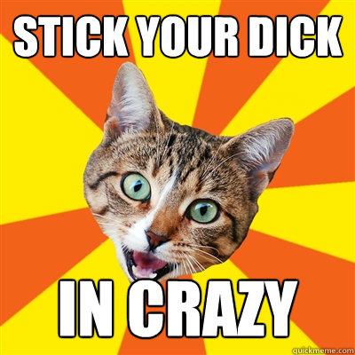 STICK YOUR DICK IN CRAZY  Bad Advice Cat