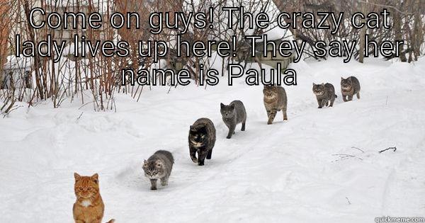 COME ON GUYS! THE CRAZY CAT LADY LIVES UP HERE! THEY SAY HER NAME IS PAULA  Misc