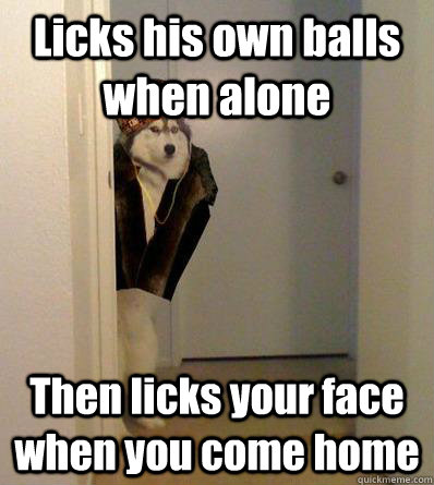 Licks his own balls when alone Then licks your face when you come home  Scumbag dog