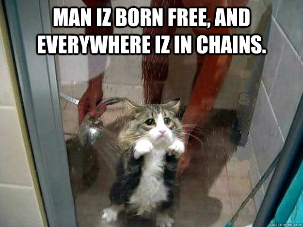 Man iz born free, and everywhere iz in chains.   Shower kitty