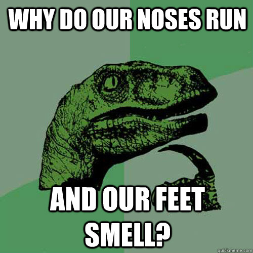 Why do our noses run And our feet smell?  Philosoraptor